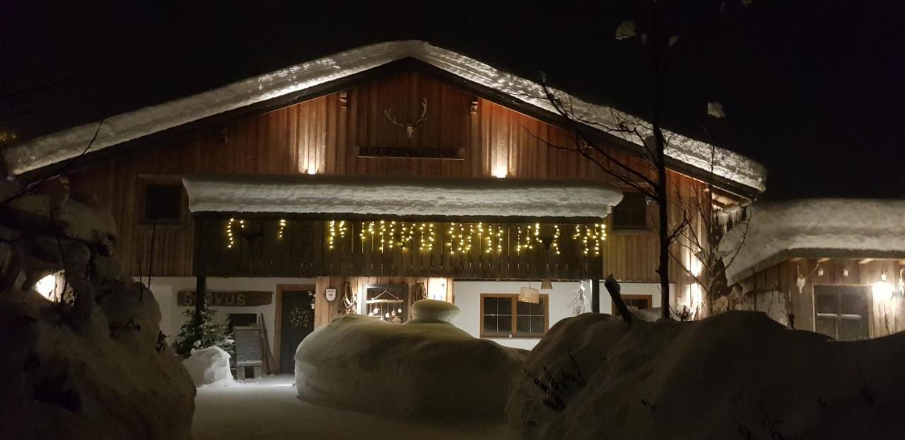 Bauernlodge Alpin Appartements Höfen Kültér fotó
